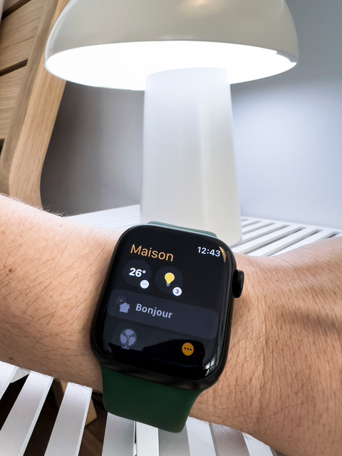 Aper&ccedil;u de l'App Maison de l'Apple Watch.